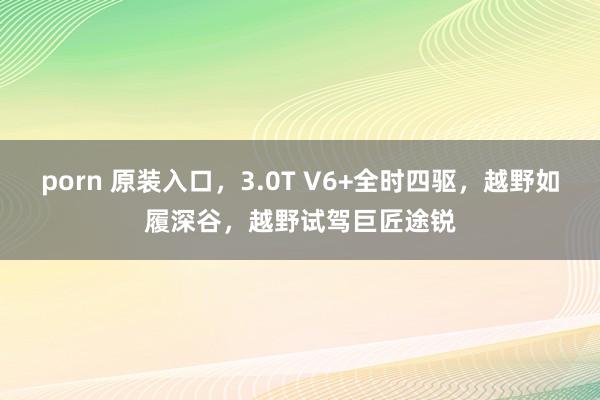 porn 原装入口，3.0T V6+全时四驱，越野如履深谷，越野试驾巨匠途锐