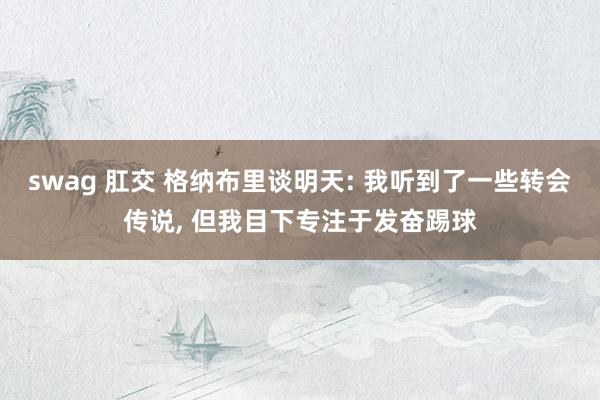 swag 肛交 格纳布里谈明天: 我听到了一些转会传说， 但我目下专注于发奋踢球