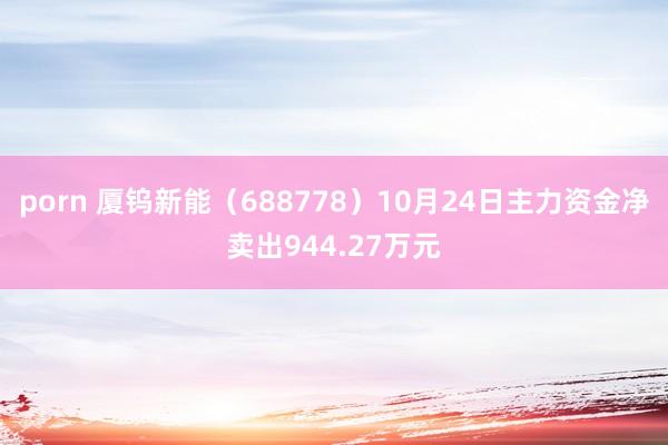 porn 厦钨新能（688778）10月24日主力资金净卖出944.27万元