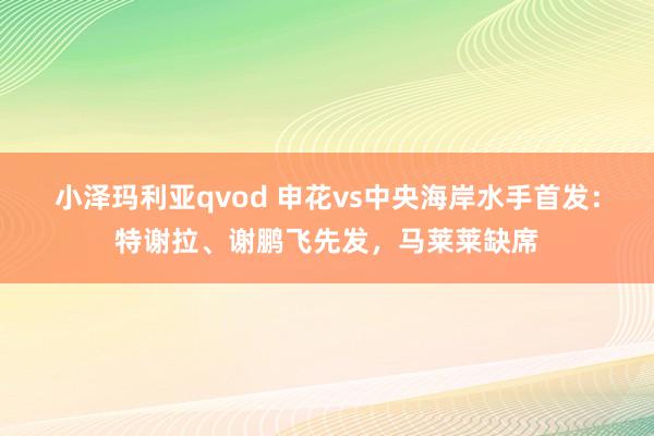 小泽玛利亚qvod 申花vs中央海岸水手首发：特谢拉、谢鹏飞先发，马莱莱缺席