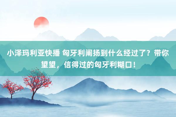 小泽玛利亚快播 匈牙利阐扬到什么经过了？带你望望，信得过的匈牙利糊口！