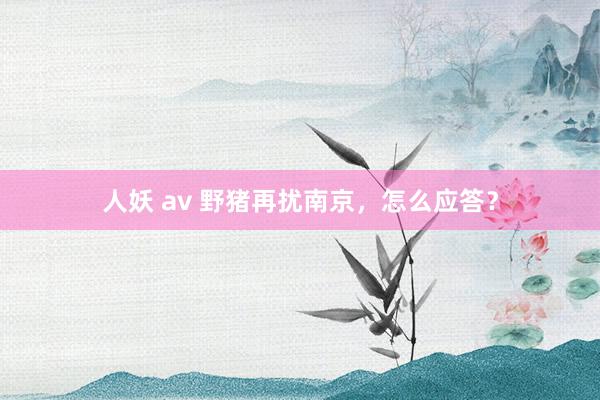 人妖 av 野猪再扰南京，怎么应答？
