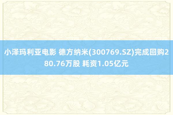 小泽玛利亚电影 德方纳米(300769.SZ)完成回购280.76万股 耗资1.05亿元