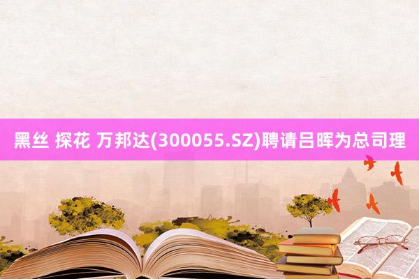 黑丝 探花 万邦达(300055.SZ)聘请吕晖为总司理