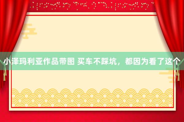 小泽玛利亚作品带图 买车不踩坑，都因为看了这个