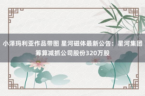 小泽玛利亚作品带图 星河磁体最新公告：星河集团筹算减抓公司股份320万股