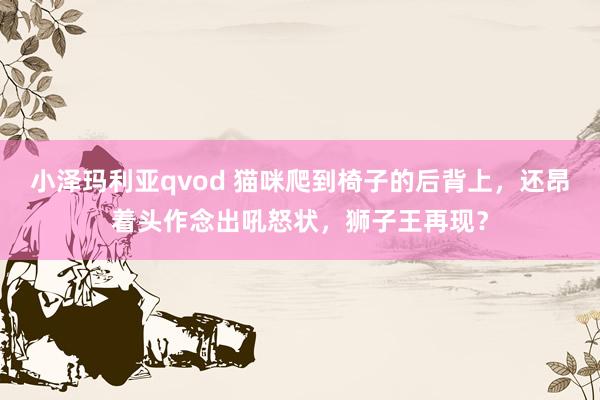 小泽玛利亚qvod 猫咪爬到椅子的后背上，还昂着头作念出吼怒状，狮子王再现？
