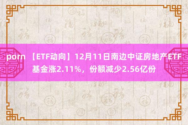 porn 【ETF动向】12月11日南边中证房地产ETF基金涨2.11%，份额减少2.56亿份