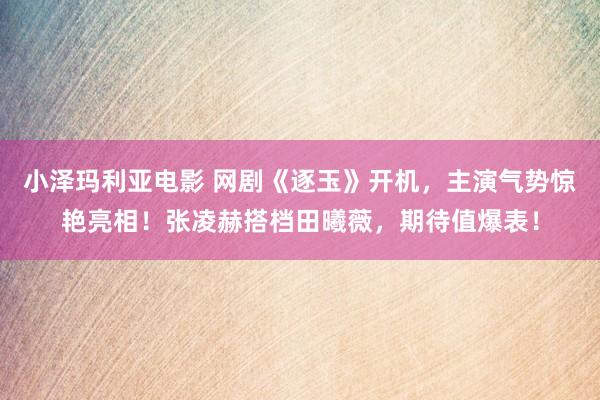 小泽玛利亚电影 网剧《逐玉》开机，主演气势惊艳亮相！张凌赫搭档田曦薇，期待值爆表！