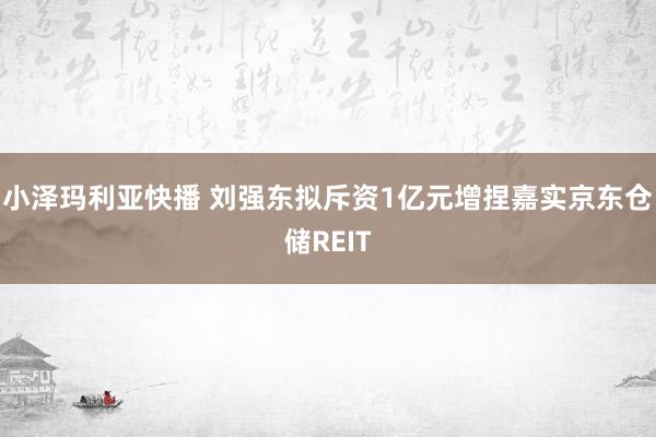 小泽玛利亚快播 刘强东拟斥资1亿元增捏嘉实京东仓储REIT