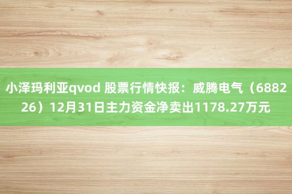 小泽玛利亚qvod 股票行情快报：威腾电气（688226）12月31日主力资金净卖出1178.27万元