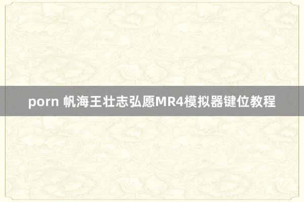 porn 帆海王壮志弘愿MR4模拟器键位教程
