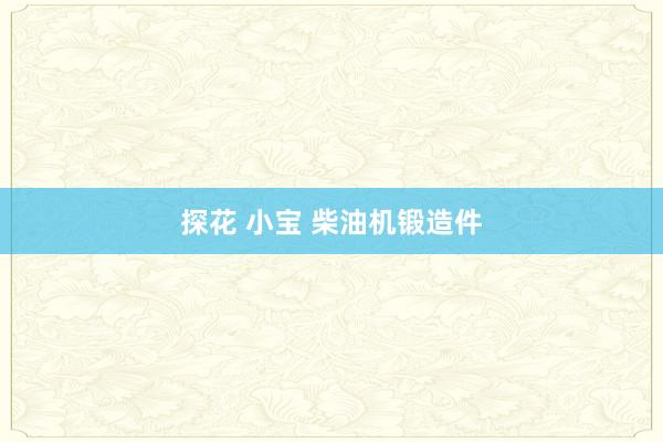 探花 小宝 柴油机锻造件