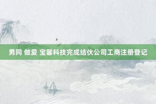 男同 做爱 宝馨科技完成结伙公司工商注册登记