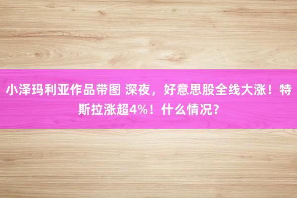 小泽玛利亚作品带图 深夜，好意思股全线大涨！特斯拉涨超4%！什么情况？