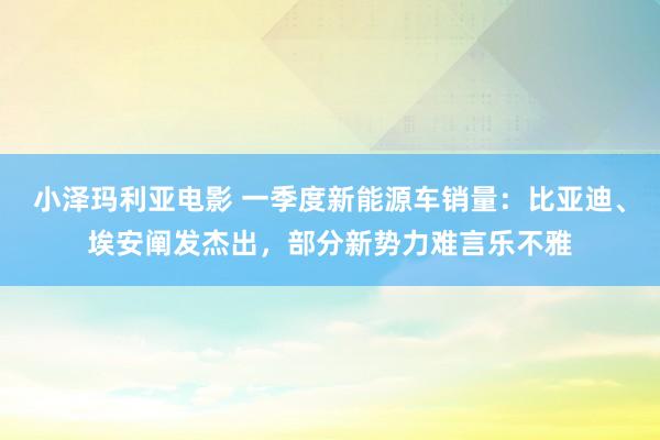 小泽玛利亚电影 一季度新能源车销量：比亚迪、埃安阐发杰出，部分新势力难言乐不雅