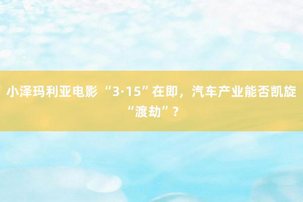 小泽玛利亚电影 “3·15”在即，汽车产业能否凯旋“渡劫”？