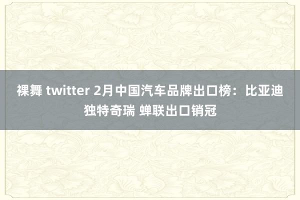 裸舞 twitter 2月中国汽车品牌出口榜：比亚迪独特奇瑞 蝉联出口销冠