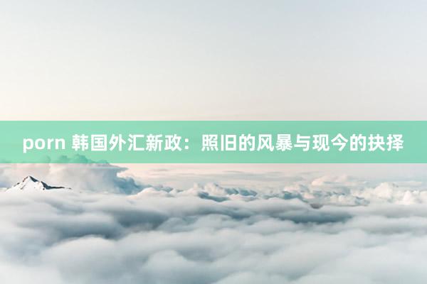 porn 韩国外汇新政：照旧的风暴与现今的抉择