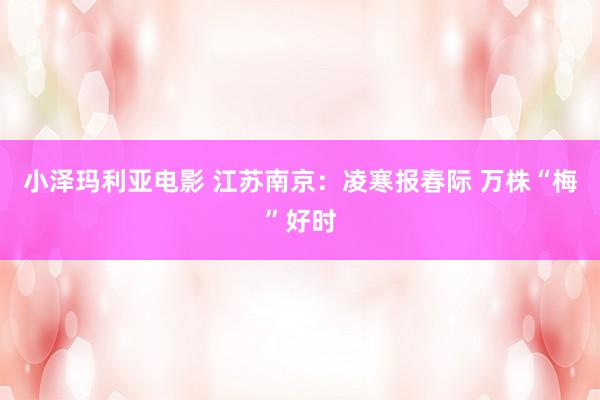 小泽玛利亚电影 江苏南京：凌寒报春际 万株“梅”好时