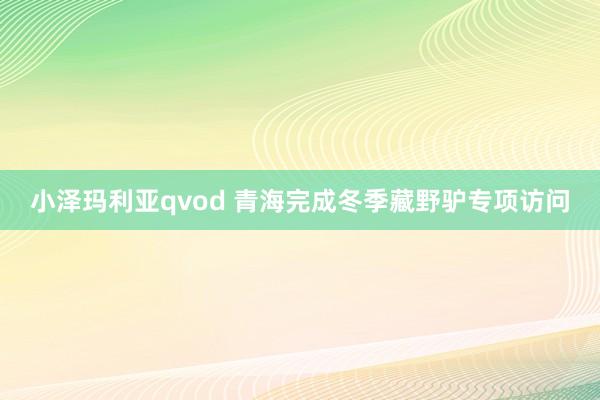 小泽玛利亚qvod 青海完成冬季藏野驴专项访问