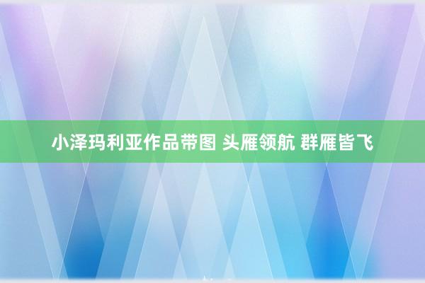 小泽玛利亚作品带图 头雁领航 群雁皆飞