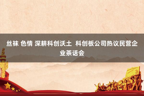 丝袜 色情 深耕科创沃土  科创板公司热议民营企业茶话会