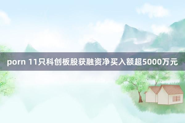 porn 11只科创板股获融资净买入额超5000万元