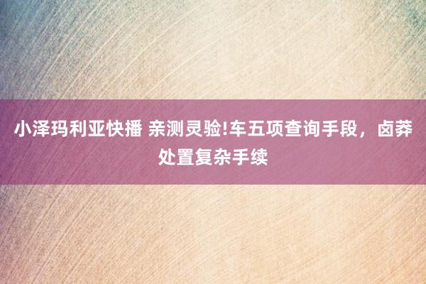 小泽玛利亚快播 亲测灵验!车五项查询手段，卤莽处置复杂手续