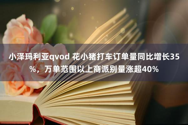 小泽玛利亚qvod 花小猪打车订单量同比增长35%，万单范围以上商派别量涨超40%
