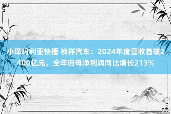 小泽玛利亚快播 祯祥汽车：2024年度营收首破2400亿元，全年归母净利润同比增长213%
