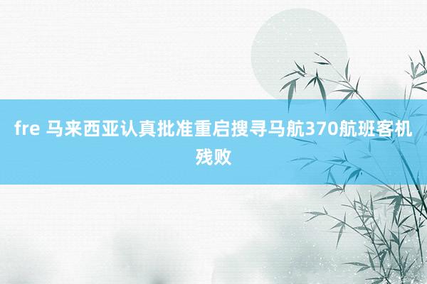 fre 马来西亚认真批准重启搜寻马航370航班客机残败