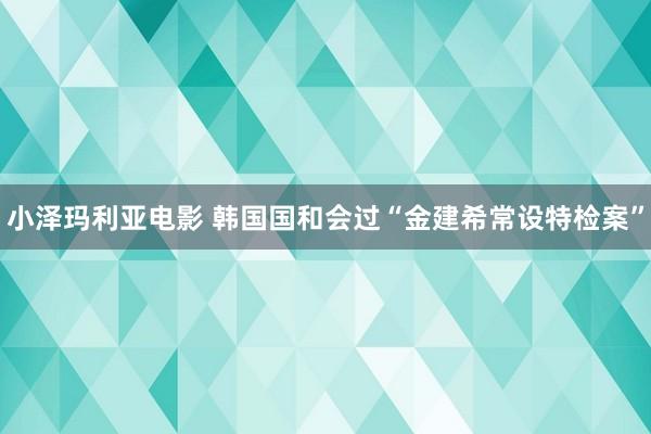小泽玛利亚电影 韩国国和会过“金建希常设特检案”