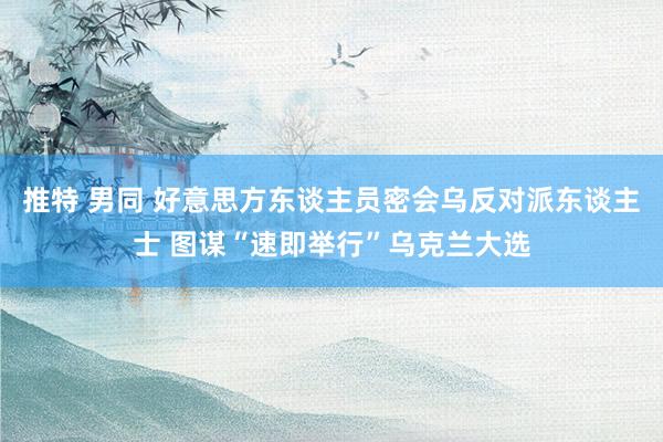 推特 男同 好意思方东谈主员密会乌反对派东谈主士 图谋“速即举行”乌克兰大选
