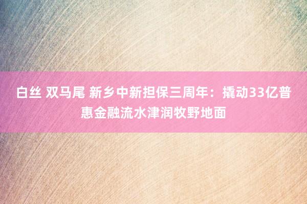 白丝 双马尾 新乡中新担保三周年：撬动33亿普惠金融流水津润牧野地面