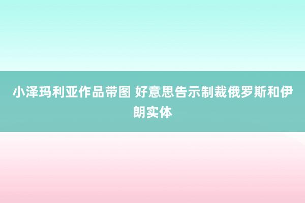 小泽玛利亚作品带图 好意思告示制裁俄罗斯和伊朗实体