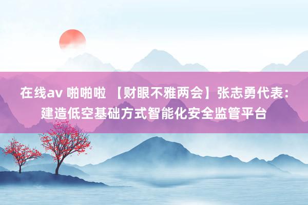 在线av 啪啪啦 【财眼不雅两会】张志勇代表：建造低空基础方式智能化安全监管平台