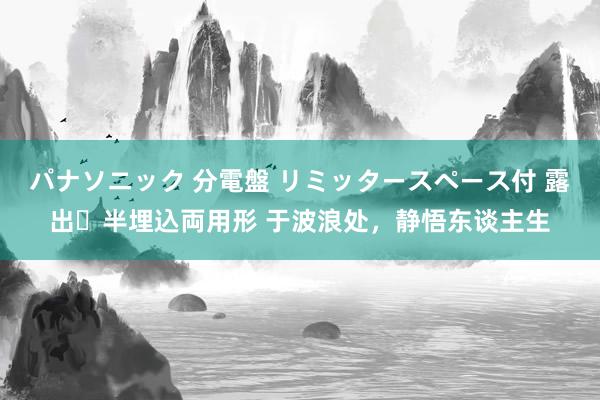 パナソニック 分電盤 リミッタースペース付 露出・半埋込両用形 于波浪处，静悟东谈主生