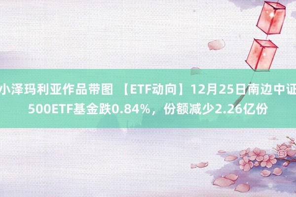 小泽玛利亚作品带图 【ETF动向】12月25日南边中证500ETF基金跌0.84%，份额减少2.26亿份