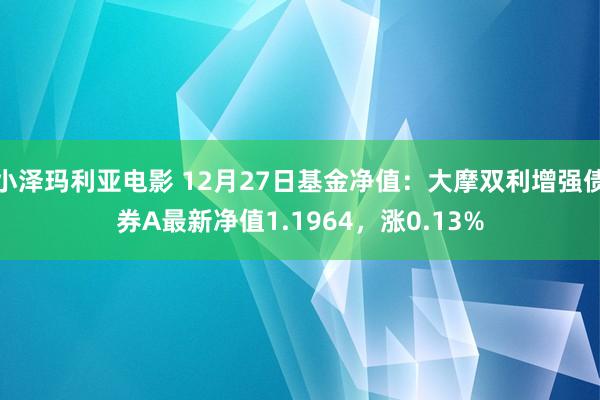 小泽玛利亚电影 12月27日基金净值：大摩双利增强债券A最新净值1.1964，涨0.13%
