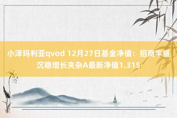 小泽玛利亚qvod 12月27日基金净值：招商丰盛沉稳增长夹杂A最新净值1.315