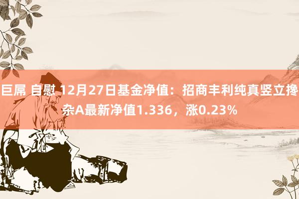 巨屌 自慰 12月27日基金净值：招商丰利纯真竖立搀杂A最新净值1.336，涨0.23%