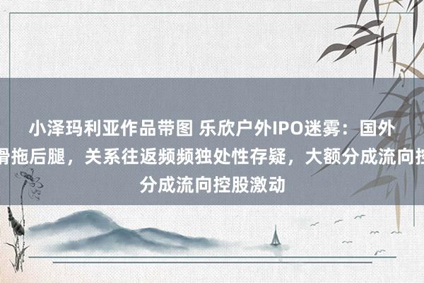 小泽玛利亚作品带图 乐欣户外IPO迷雾：国外营收下滑拖后腿，关系往返频频独处性存疑，大额分成流向控股激动
