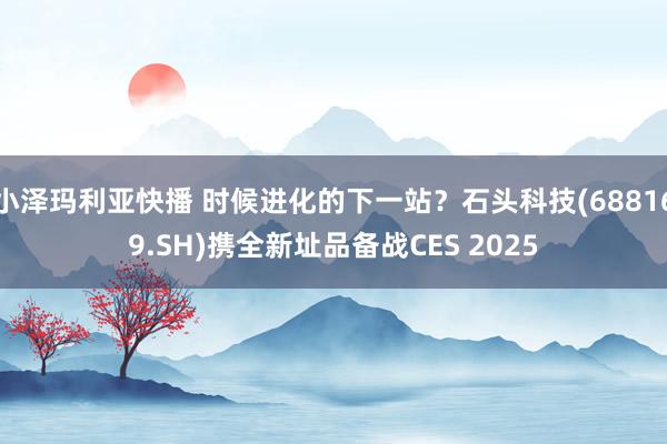 小泽玛利亚快播 时候进化的下一站？石头科技(688169.SH)携全新址品备战CES 2025