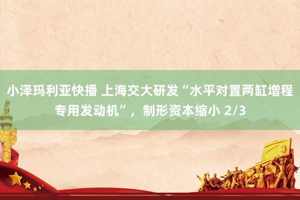 小泽玛利亚快播 上海交大研发“水平对置两缸增程专用发动机”，制形资本缩小 2/3