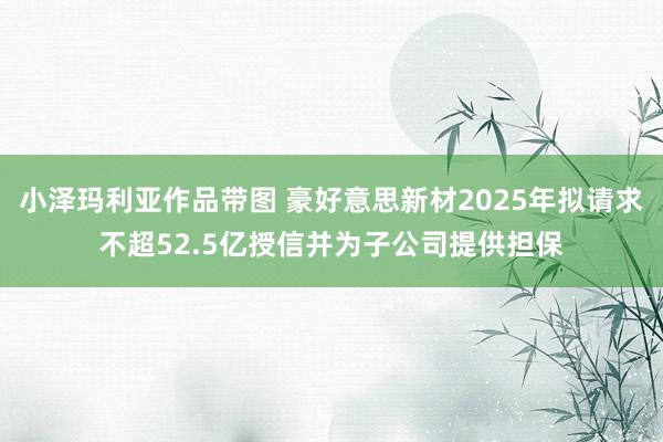 小泽玛利亚作品带图 豪好意思新材2025年拟请求不超52.5亿授信并为子公司提供担保