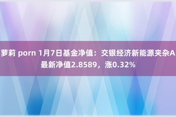 萝莉 porn 1月7日基金净值：交银经济新能源夹杂A最新净值2.8589，涨0.32%
