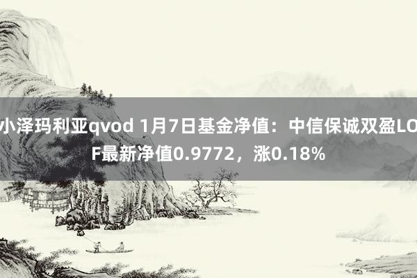 小泽玛利亚qvod 1月7日基金净值：中信保诚双盈LOF最新净值0.9772，涨0.18%
