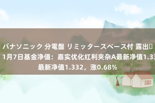 パナソニック 分電盤 リミッタースペース付 露出・半埋込両用形 1月7日基金净值：嘉实优化红利夹杂A最新净值1.332，涨0.68%