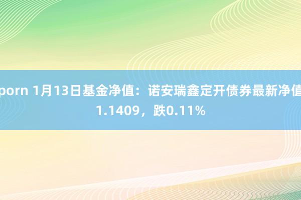 porn 1月13日基金净值：诺安瑞鑫定开债券最新净值1.1409，跌0.11%